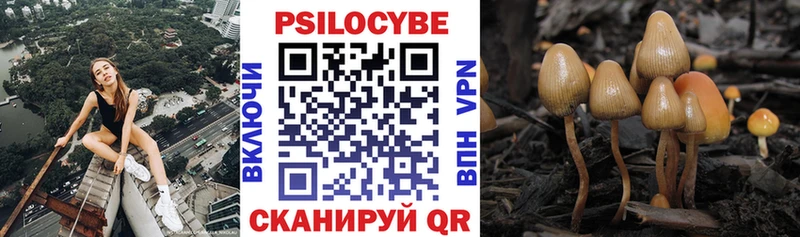Псилоцибиновые грибы Cubensis  Ковдор 